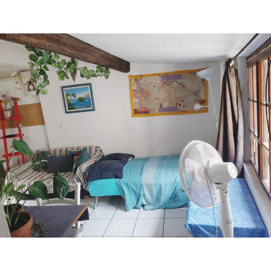 Appartement Cosy Au Coeur De Montpellier Eksteriør billede