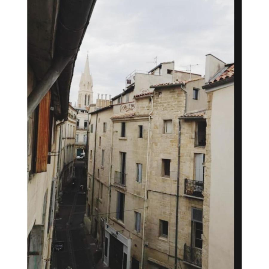 Appartement Cosy Au Coeur De Montpellier Eksteriør billede
